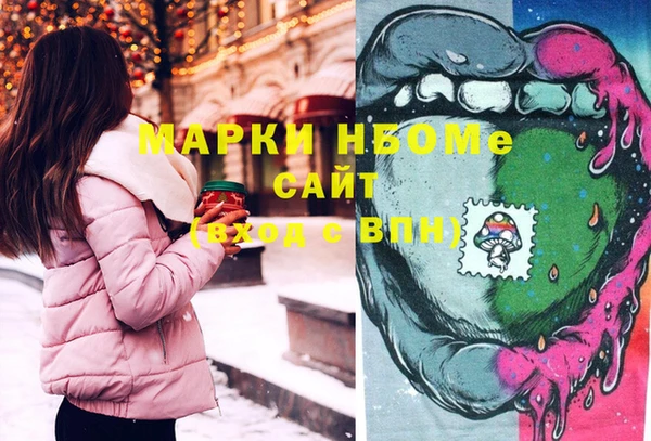 ECSTASY Лагань